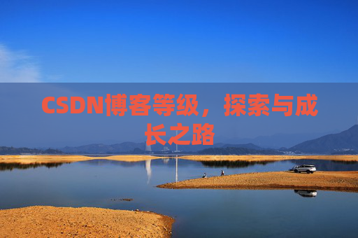 CSDN博客等级，探索与成长之路